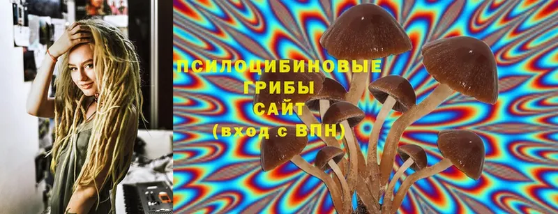 OMG сайт  как найти закладки  Вятские Поляны  Псилоцибиновые грибы Cubensis 